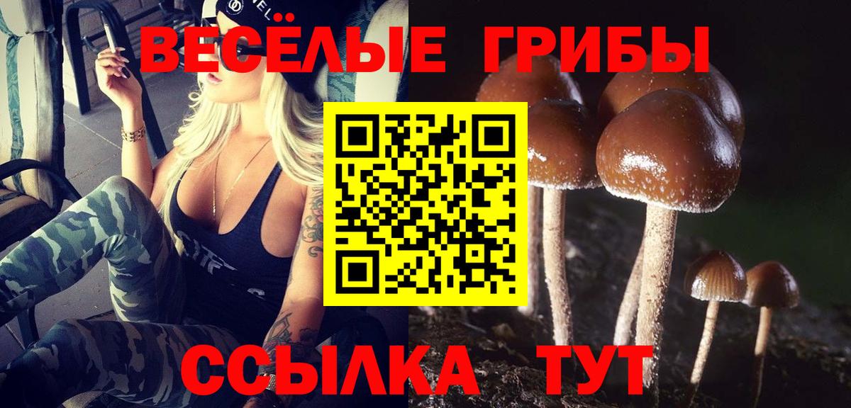Галлюциногенные грибы мухоморы Куйбышев