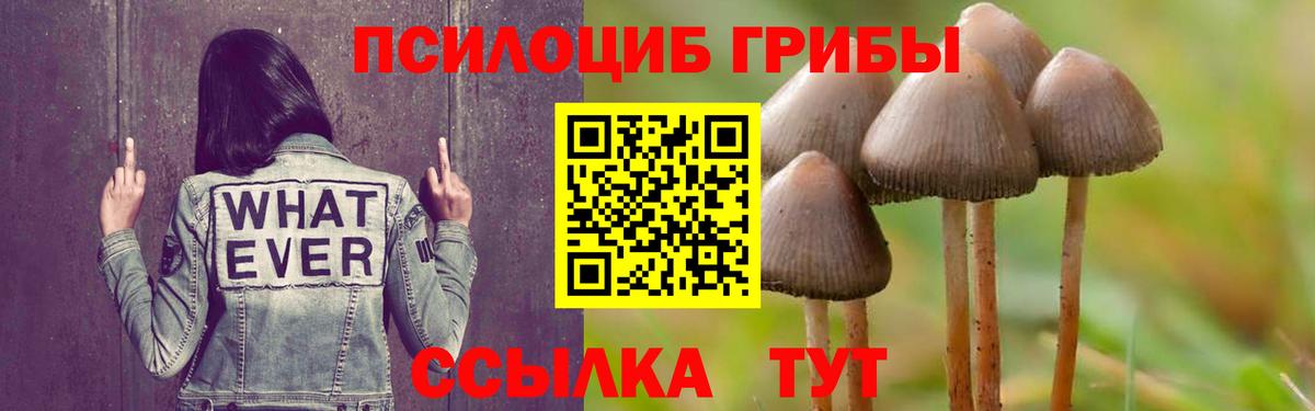 Псилоцибиновые грибы мицелий  Вход с VPN  Галлюциногенные грибы Cubensis  как найти закладки  Куйбышев 